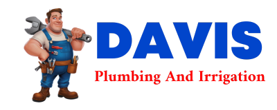 Trusted plumber in DAZEY